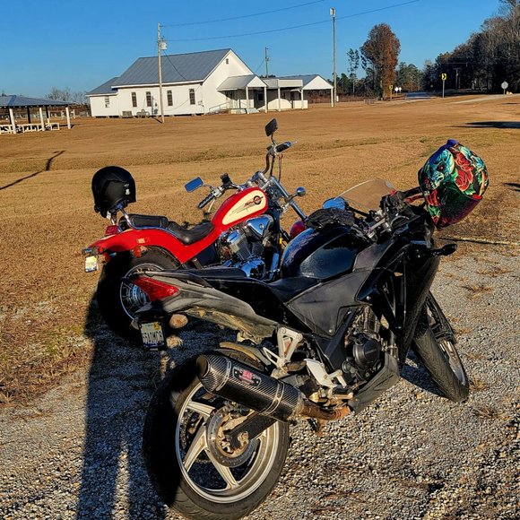 Meet your Posher, Dixie - Picture 4 of 9